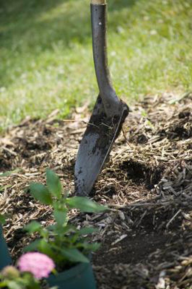 Learn How to Keep Mulch in Place | How to guides, tips and tricks
