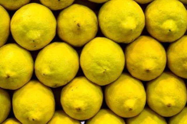 learn-why-does-my-lemon-tree-have-lemons-with-thick-skins-very-little-juice-how-to-guides